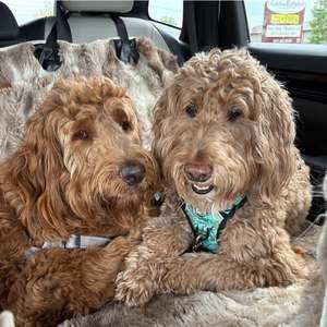 Meet your Posher, Susan